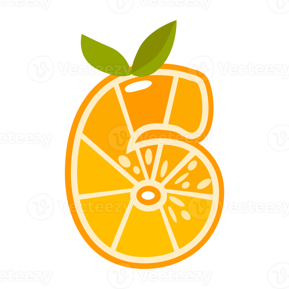 Orange fruit number Six. Orange in the shape of number 6. Alphabet, letters, numbers and signs made from orange or citrus png