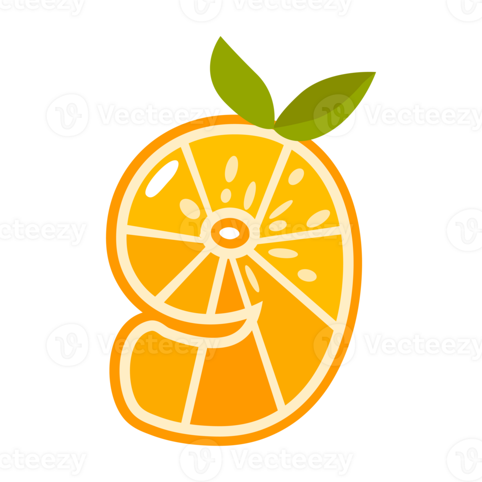 Orange fruit number Nine. Orange in the shape of number 9. Alphabet, letters, numbers and signs made from orange or citrus. png