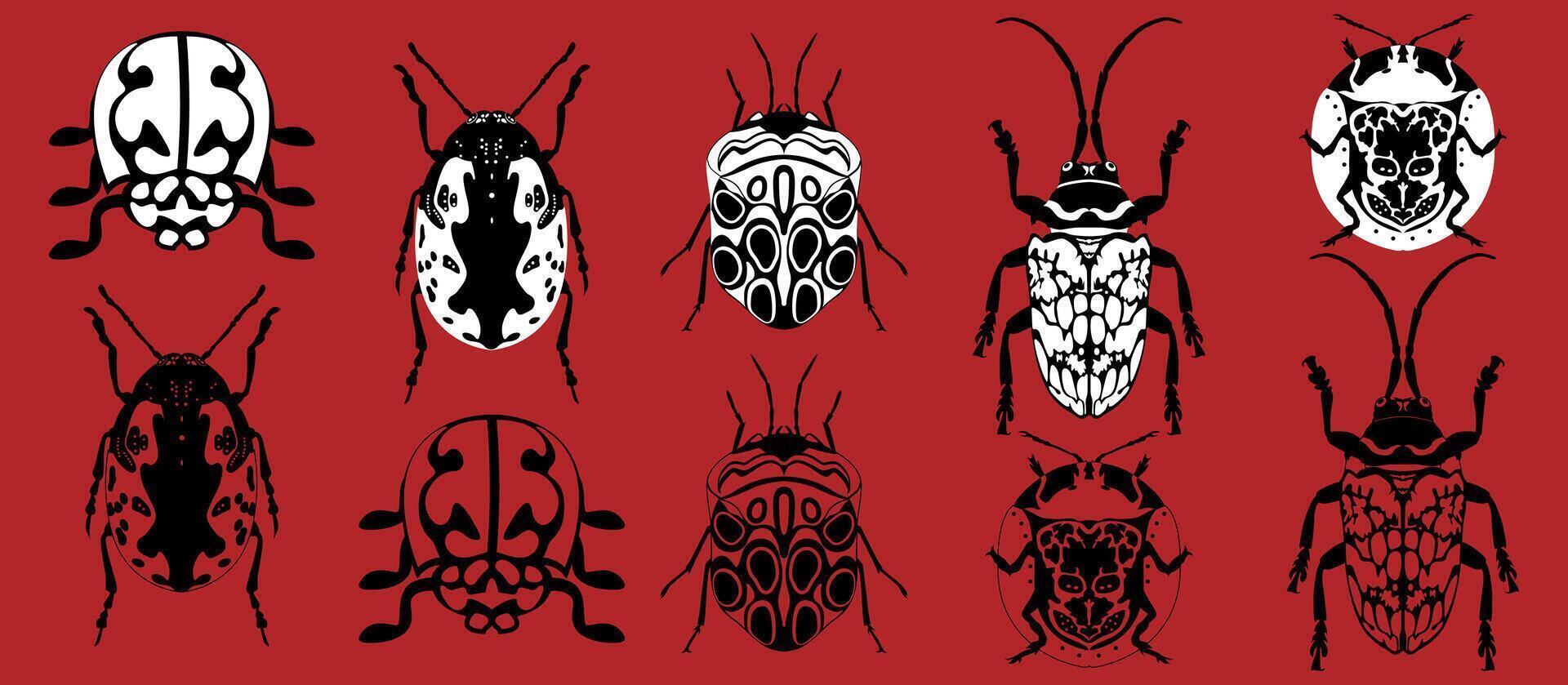 Wild nature insects. Ladybug, cute bugs, stag beetle flat set black and white. vector