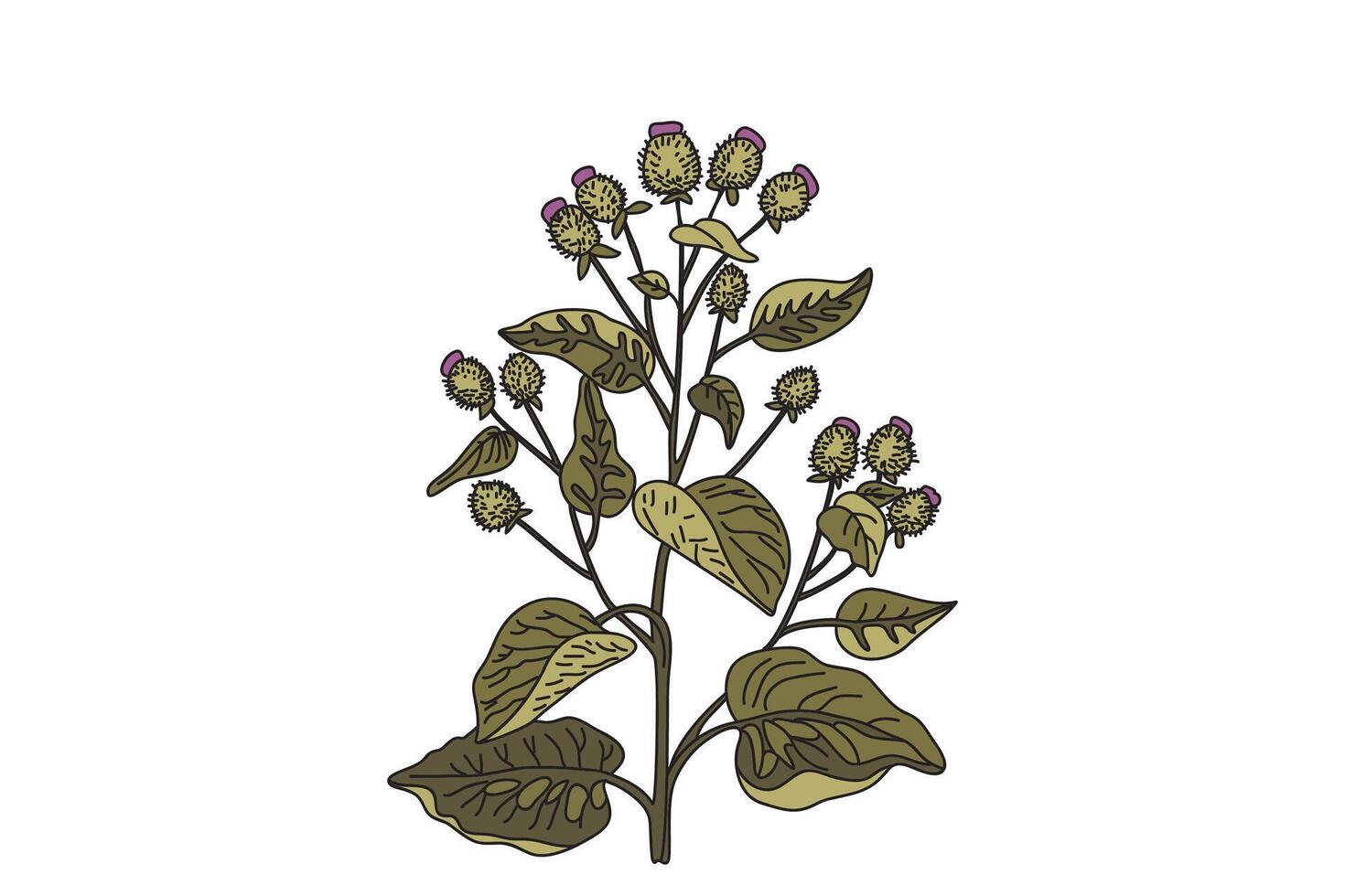 Botanical medicinal plant in nature pastel colors isolated on white background. Hand drawn stems, leaves, flowers, fruits illustration. Graphic design element for Birthday Print Poster Card vector