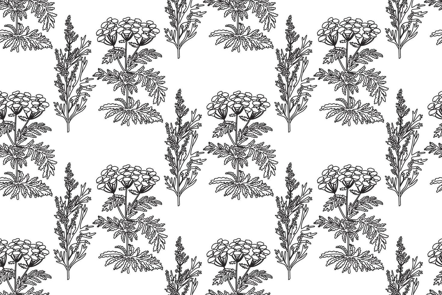 Line art botanical seamless plant pattern with flowers illustration. Black outline repeating floral pattern in white background. Graphic design for Fashion Cover Textile Coloring Page Birthday Card vector