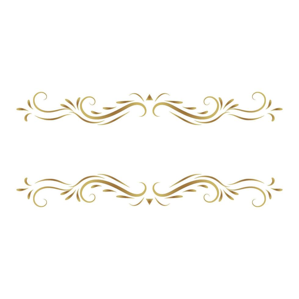 Elegant vintage floral ornament set with decorative elements and abstract patterns vector