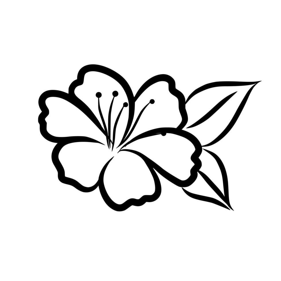 Cherry Blossom Sakura flower Outline Clipart Illustration vector
