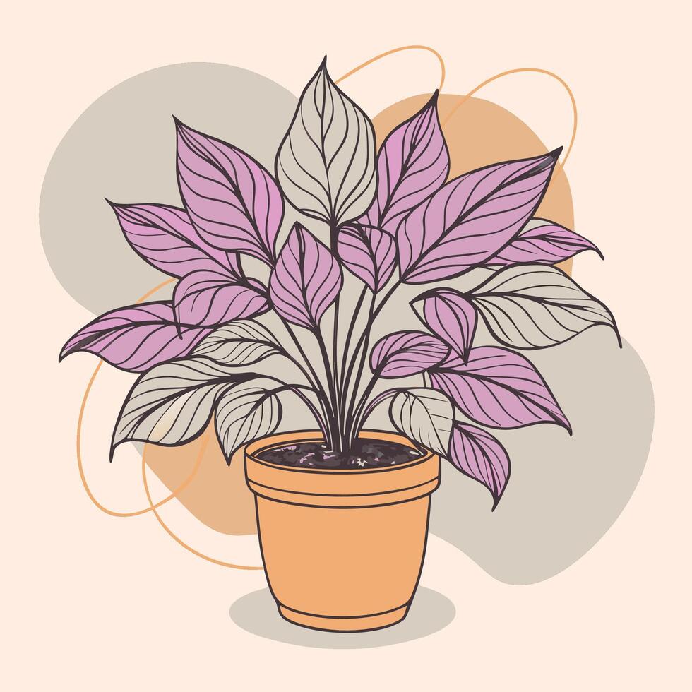Potted plant with large purple and white leaves in a brown pot vector