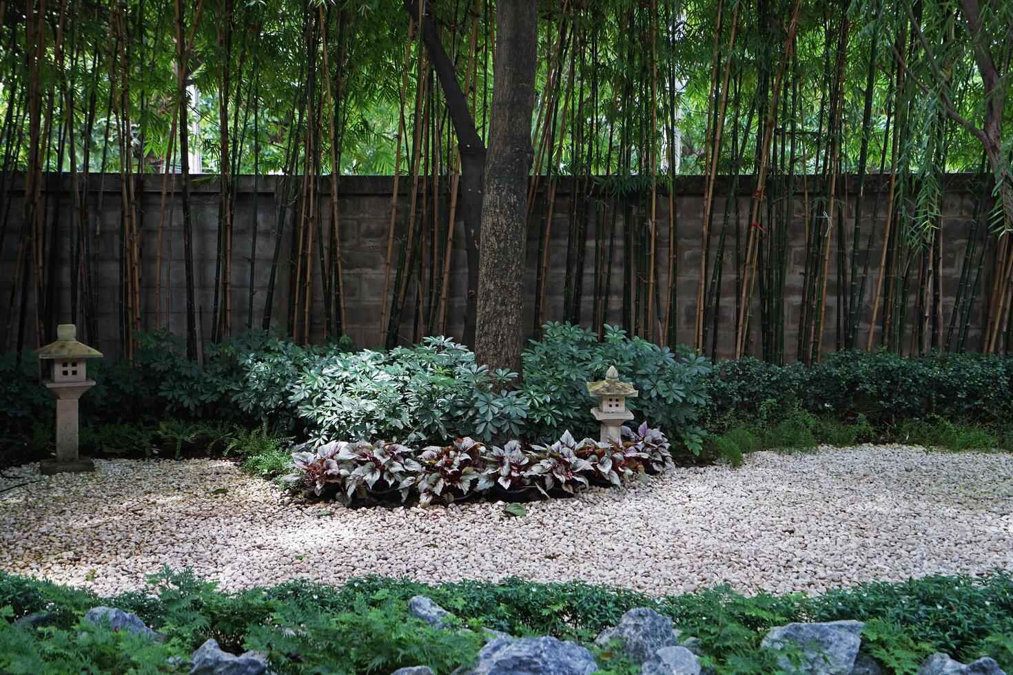 Green rocky garden park arranged in Traditional Japanese Zen photo