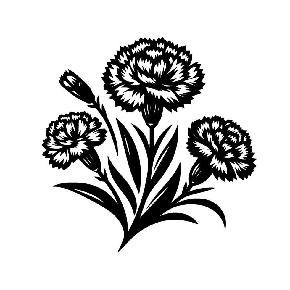 Intricate Black and White Carnation Floral Arrangement, Featuring Three Blossoms, Leaves, and a Bud, on a Crisp White Backdrop. vector