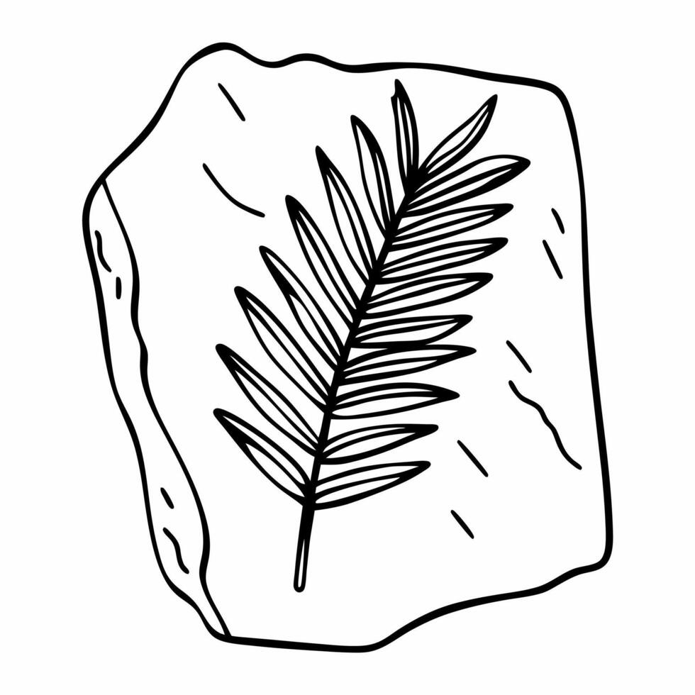 Fossilized leaf imprint on rock nature's ancient botanical record preserved in stone vector