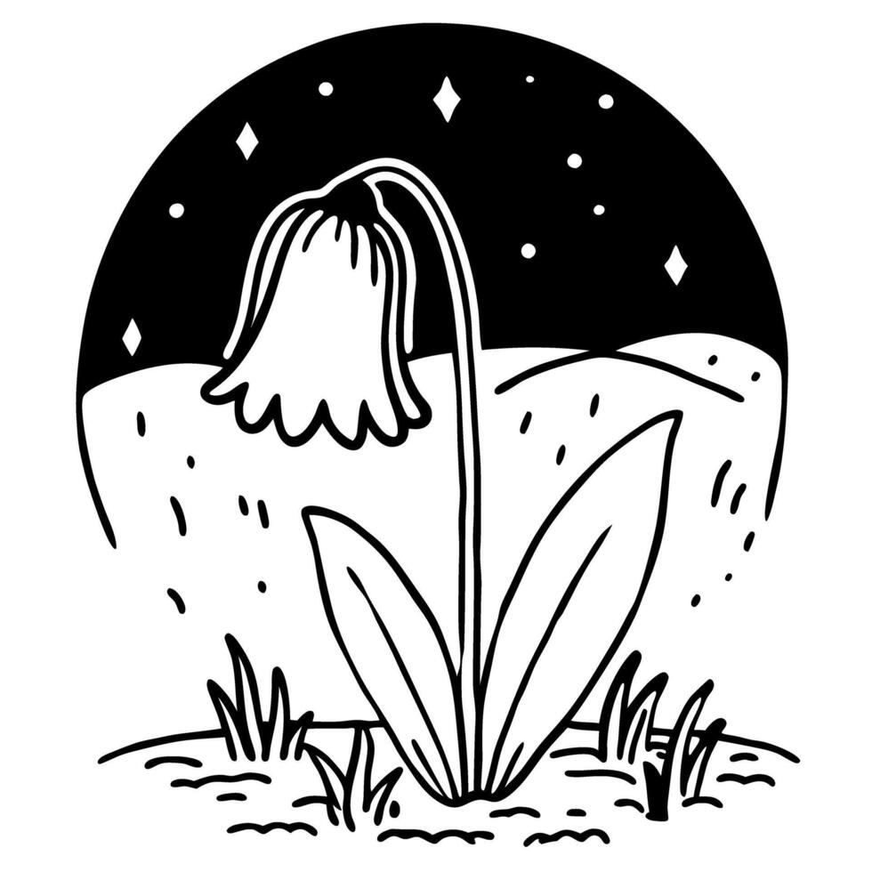 Nightfall over a drooping flower in monochrome illustration, serene starry sky background vector