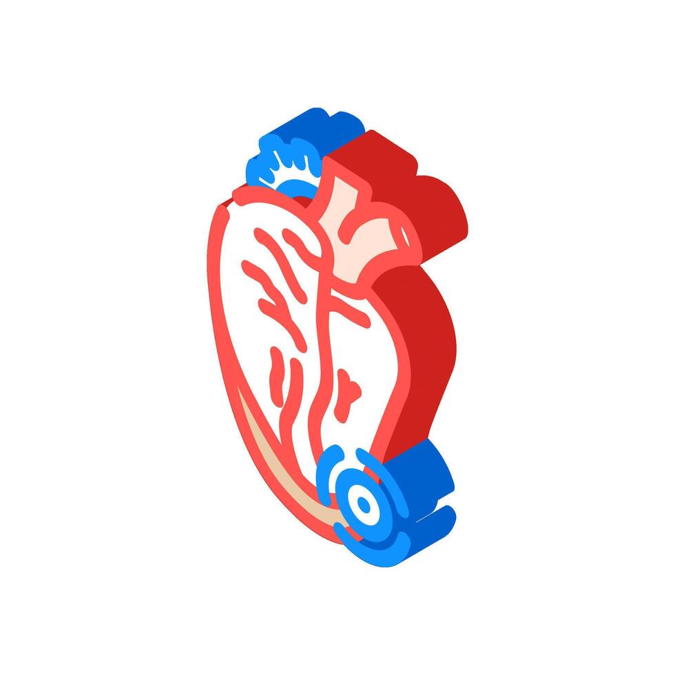 pericarditis cardiology disease isometric icon illustration vector