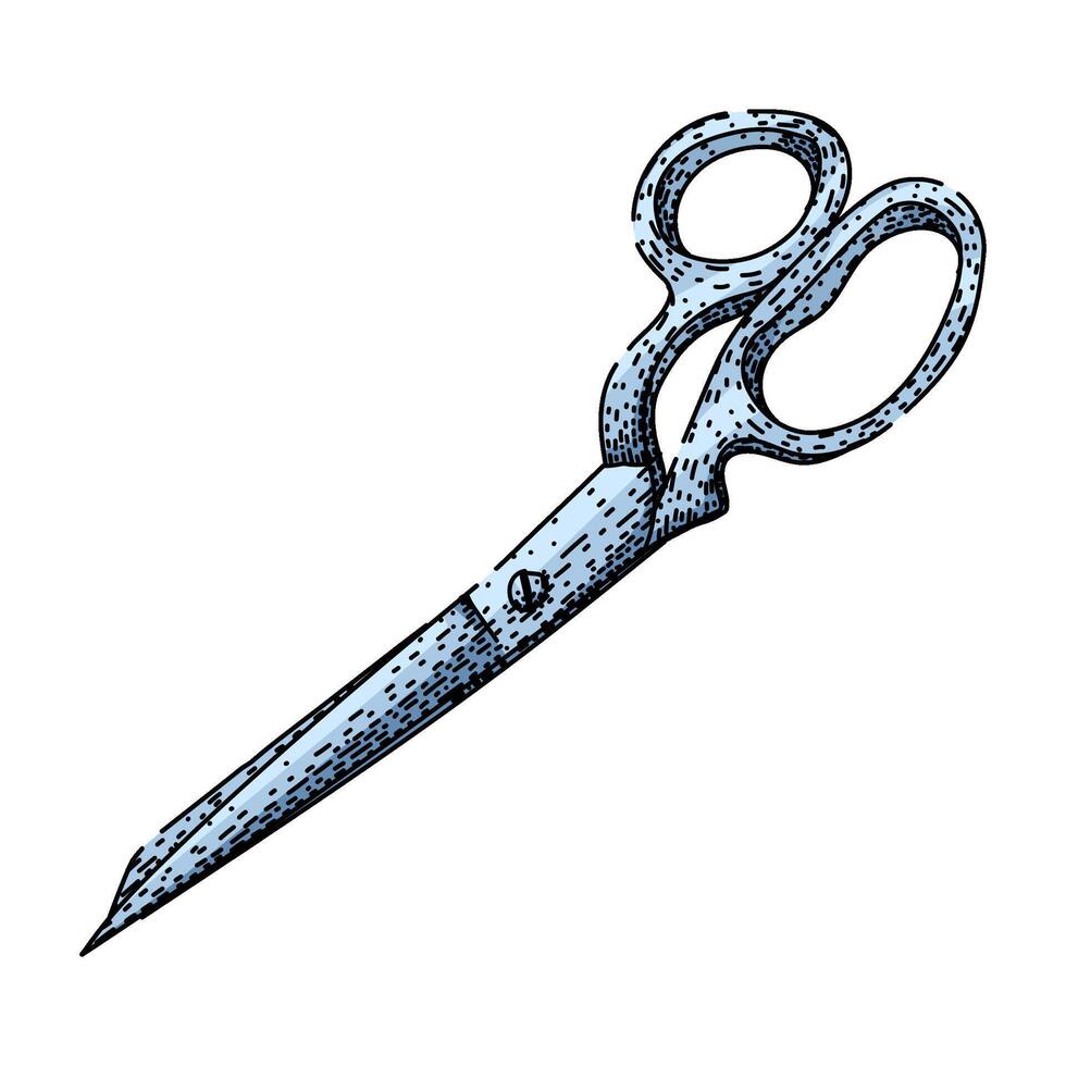 tool scissors sketch hand vintage vector