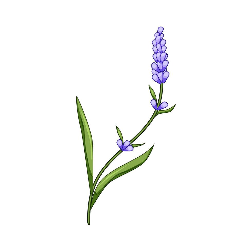 ireland lavender cartoon illustration vector