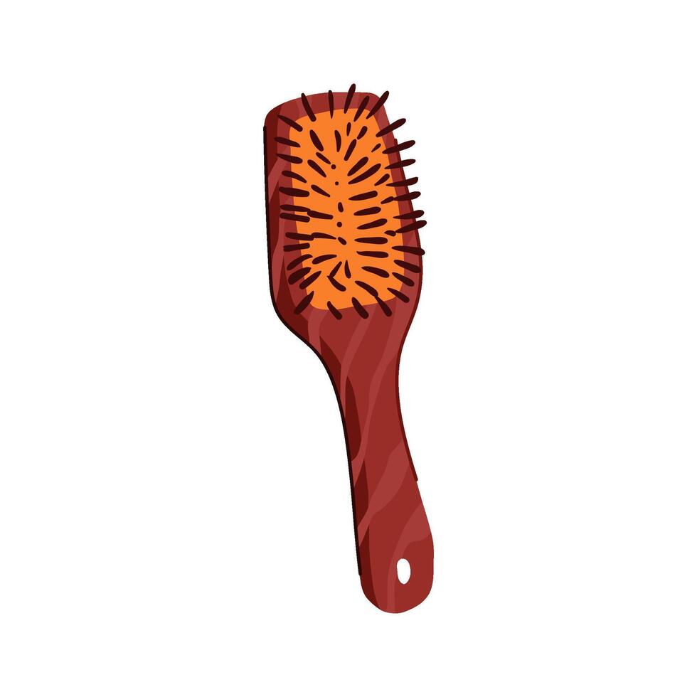 eco hair brush wooden illustration vector