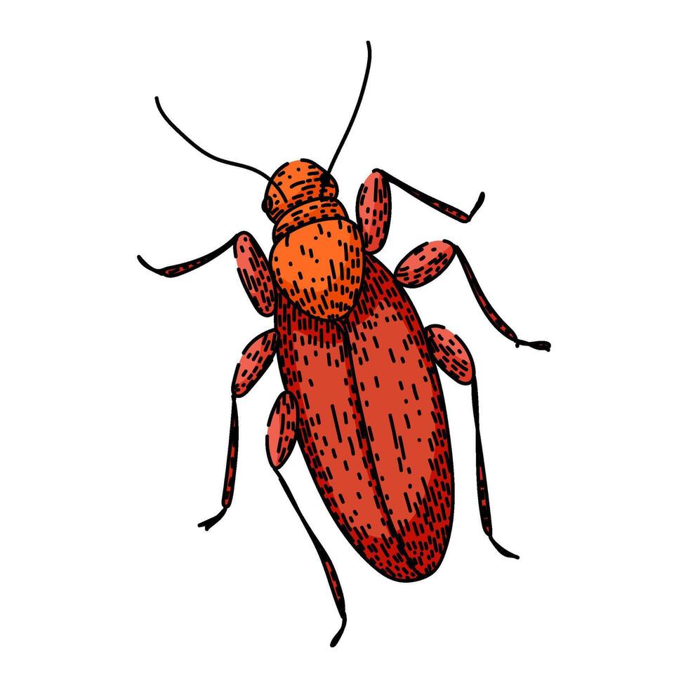 extermination cockroach sketch vector