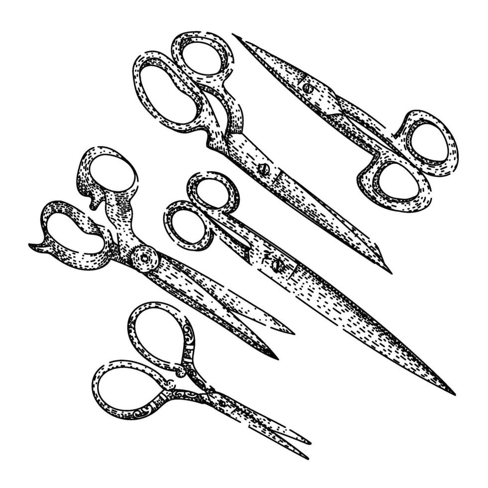 scissors set sketch vintage hand drawn vector