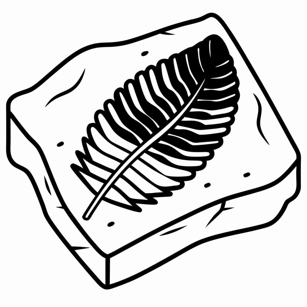 fossil leaf imprint on stone ancient plant preserved in rock paleontology and geology, prehistoric nature vector