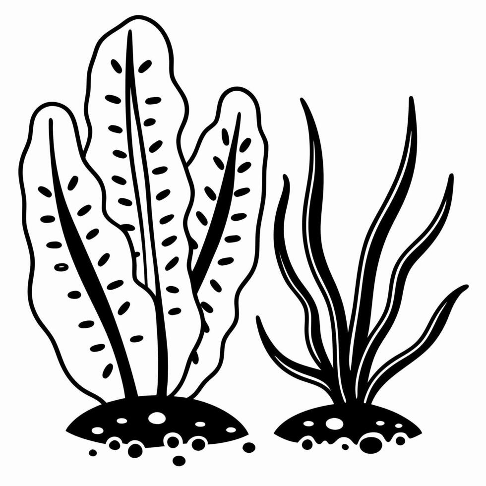 Aquatic plant illustration simplistic black and white seaweed and kelp design vector