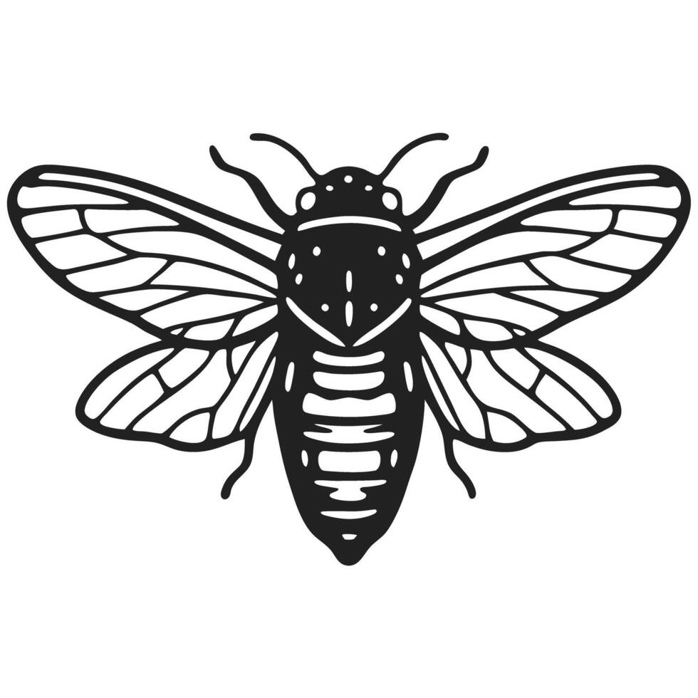 Intricate cicada illustration, black and white design, detailed insect wings, nature art vector