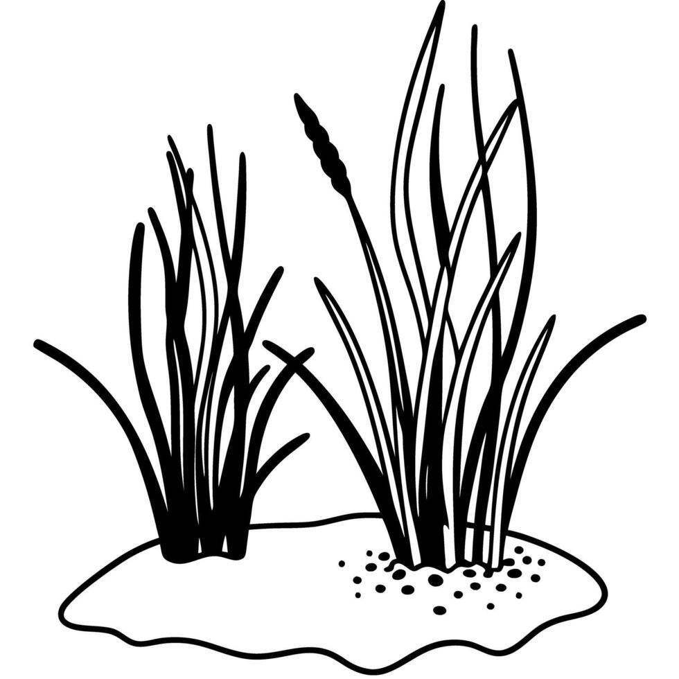 reeds and grass illustration black and white nature drawing wetland plants on white background vector