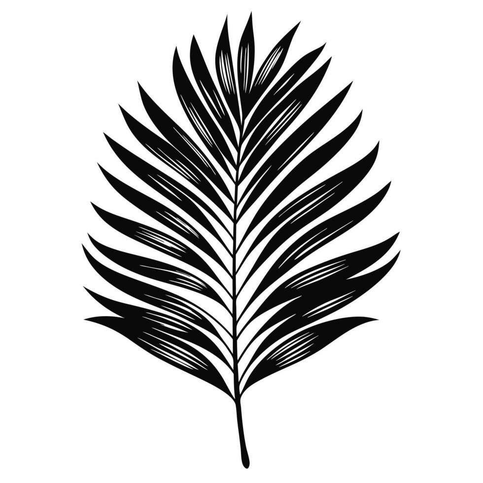 Elegant Black Silhouette of a Tropical Palm Leaf on White Background vector