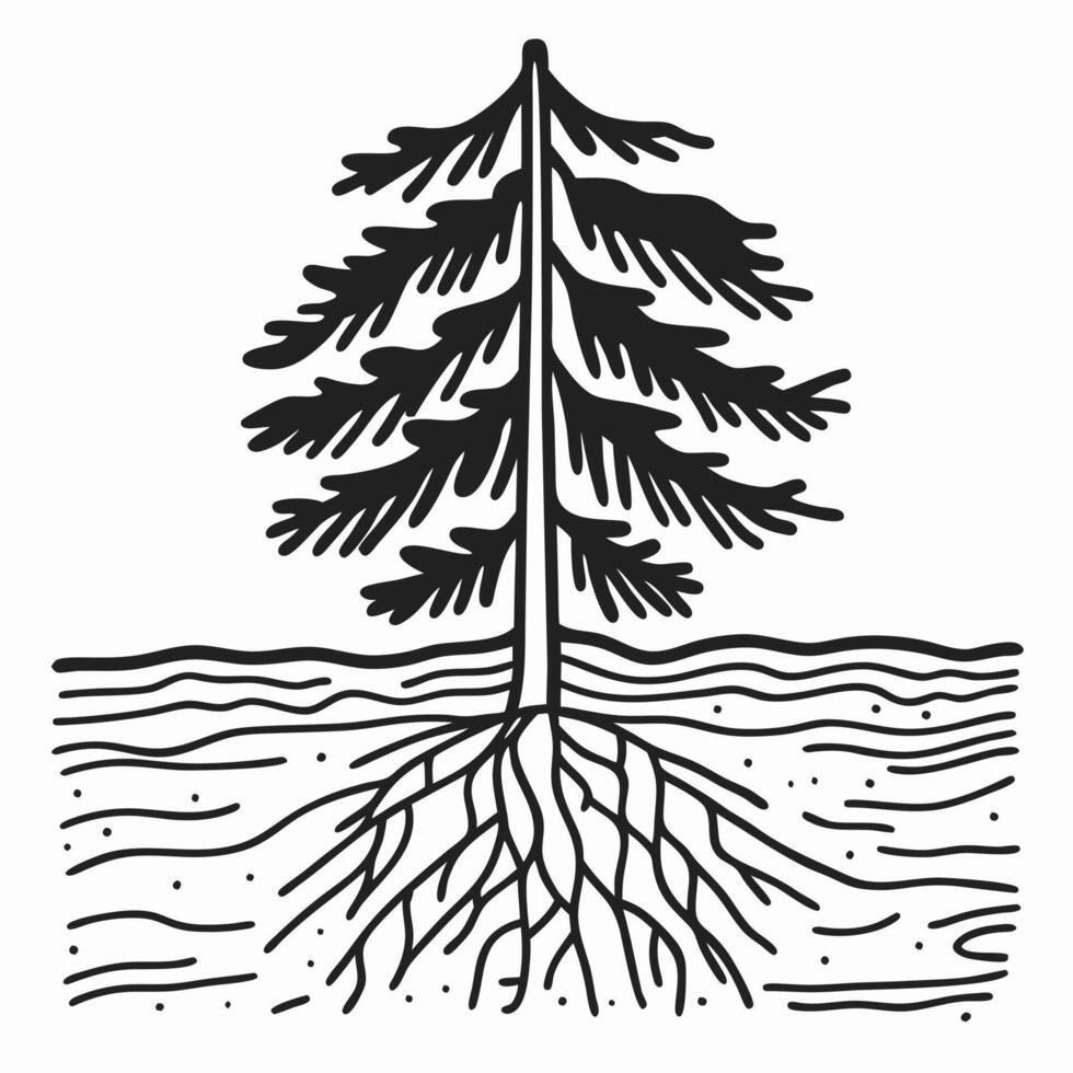 Stylized evergreen tree with roots illustration, nature growth concept vector