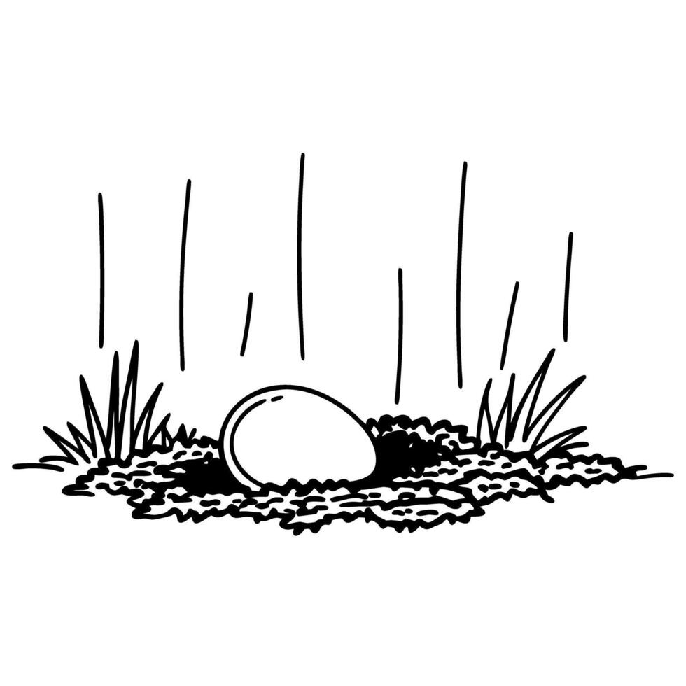 Nest with egg in grassy meadow, black and white illustration vector