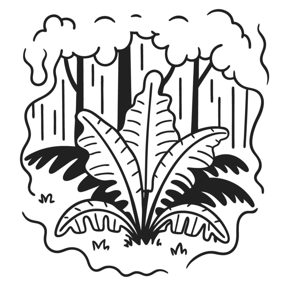 black and white rainforest illustration with large jungle foliage, tropical leaves and trees vector
