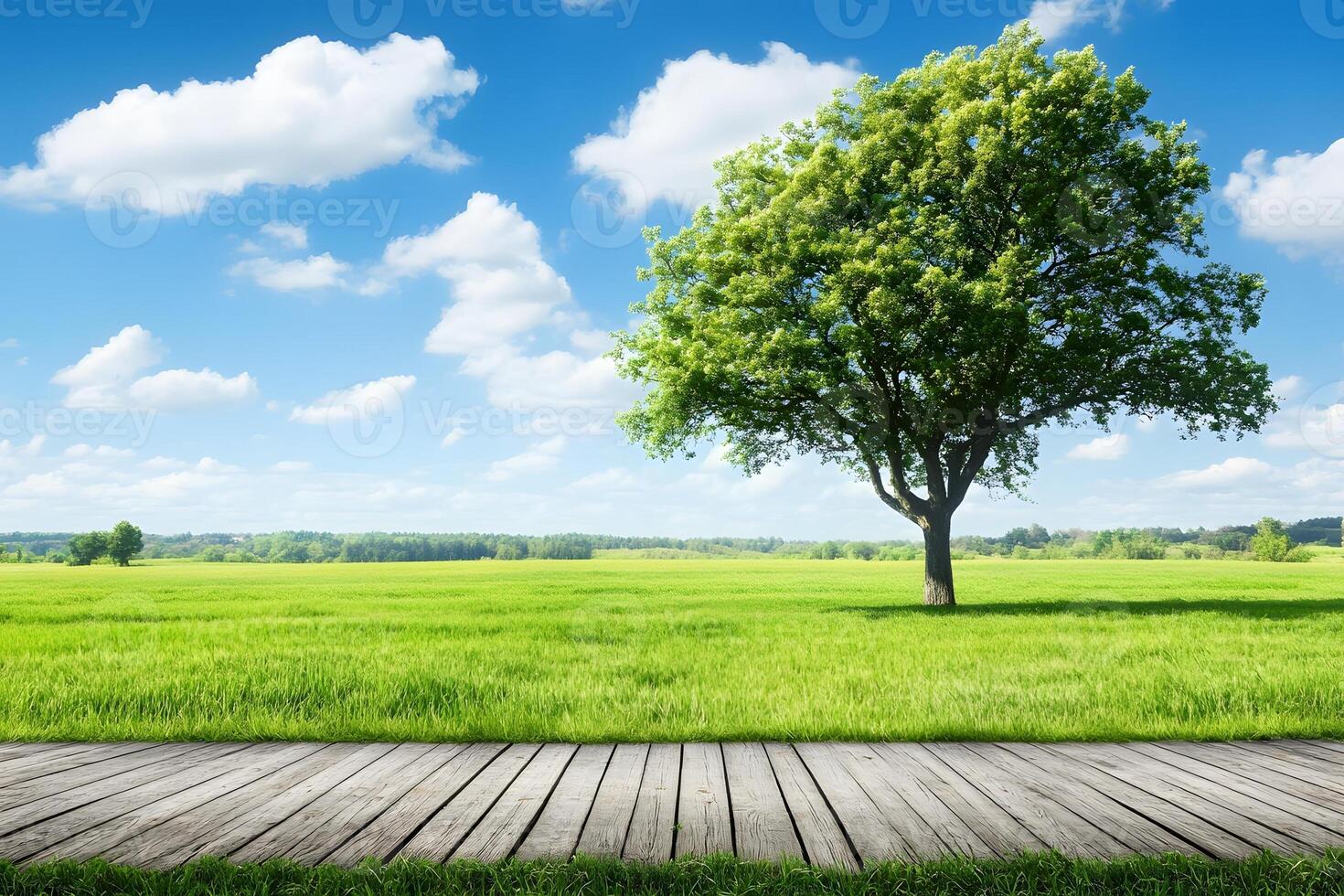 Wooden boardwalk and tree in the field photo