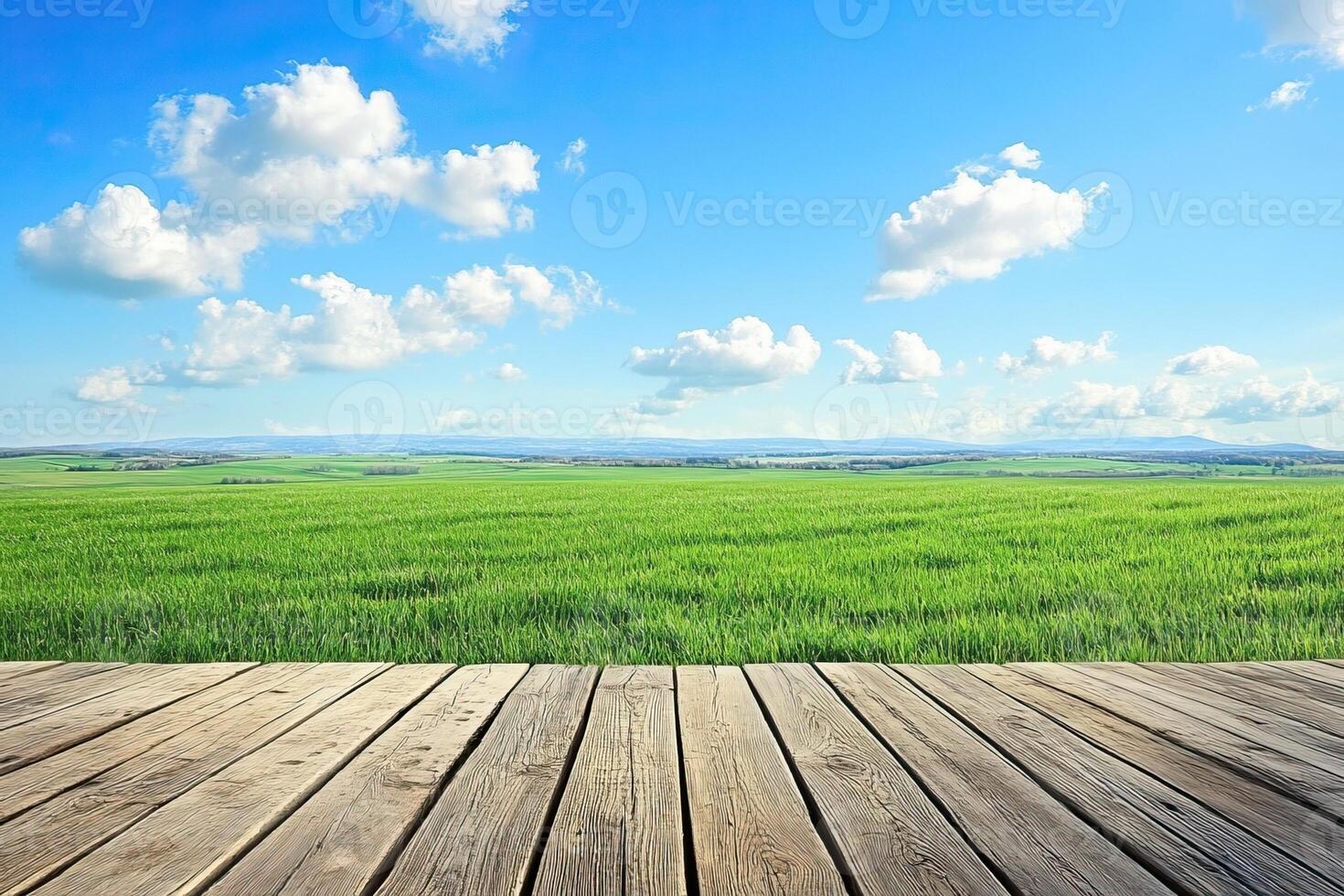 Wooden deck overlooking green field, sunny sky photo