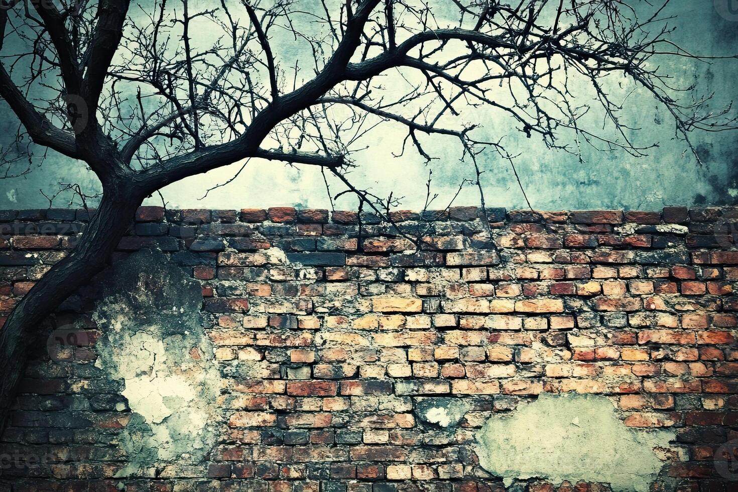 Weathered brick wall, bare tree, moody sky, urban decay, design texture photo