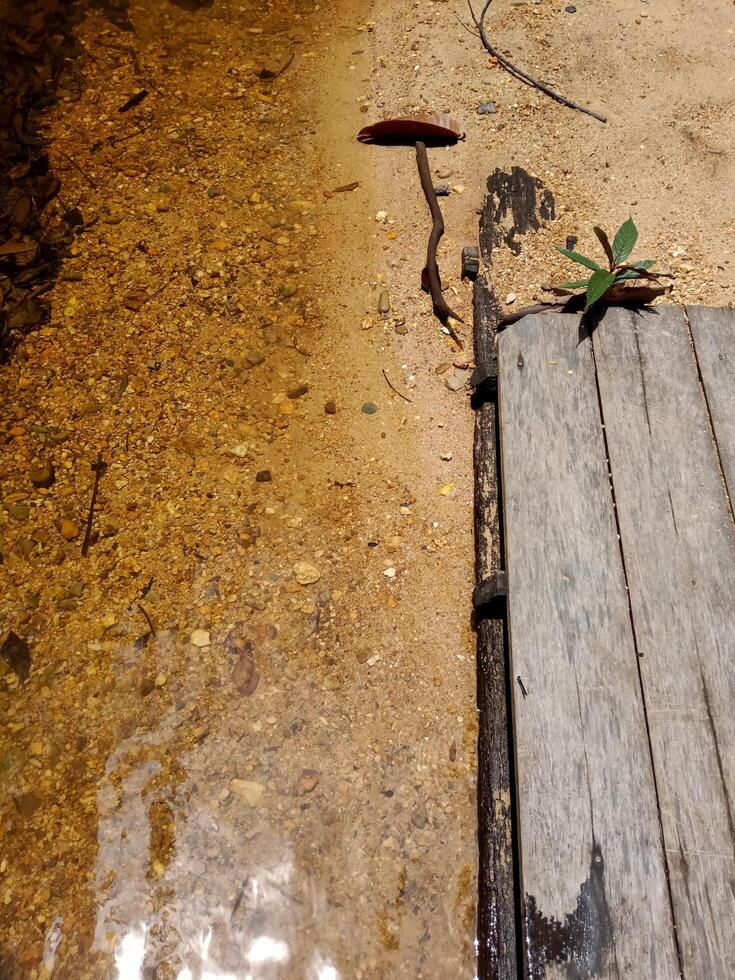 Still Water Shore Beside Wooden Board photo