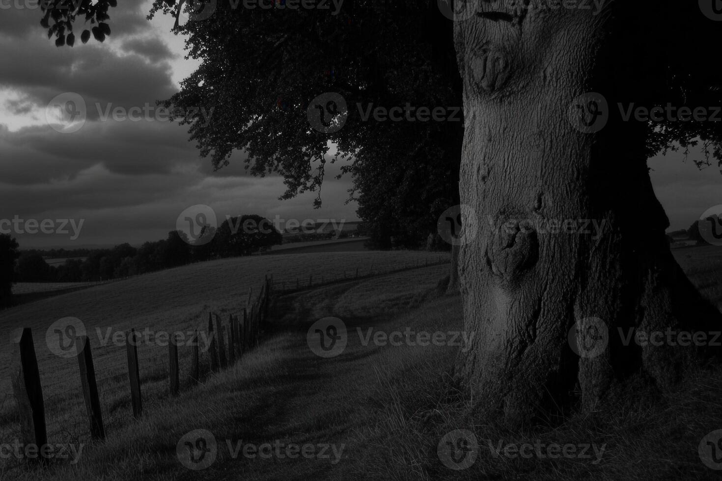 A serene landscape featuring a large tree by a path. photo