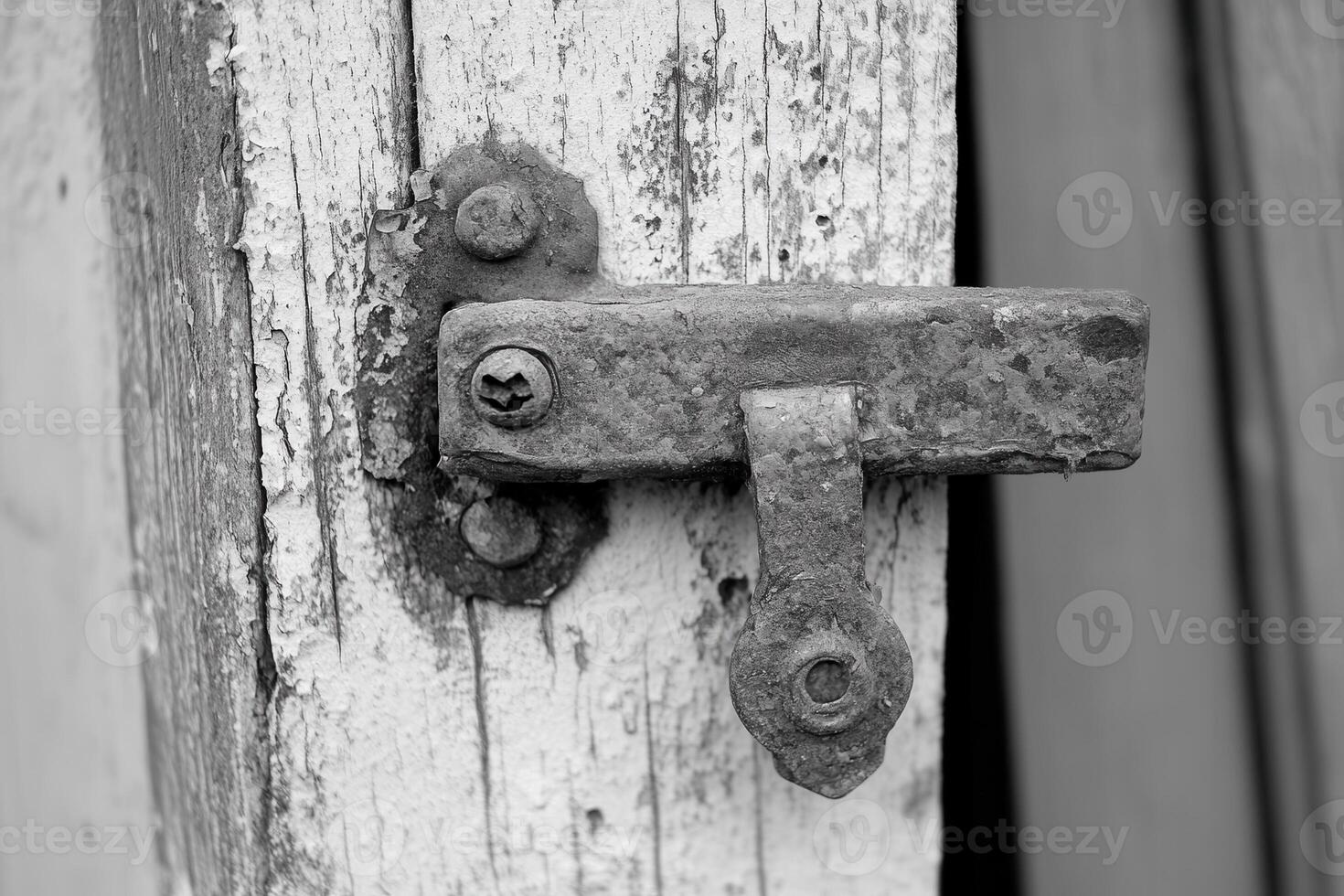Close-up of a rusty door latch on weathered wood. photo