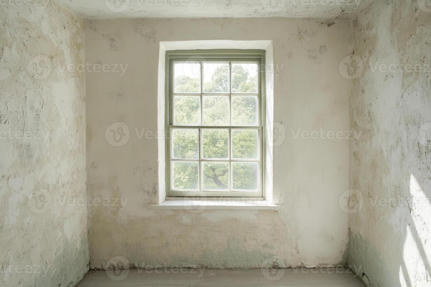 A sunlit, empty room with a window overlooking greenery. photo