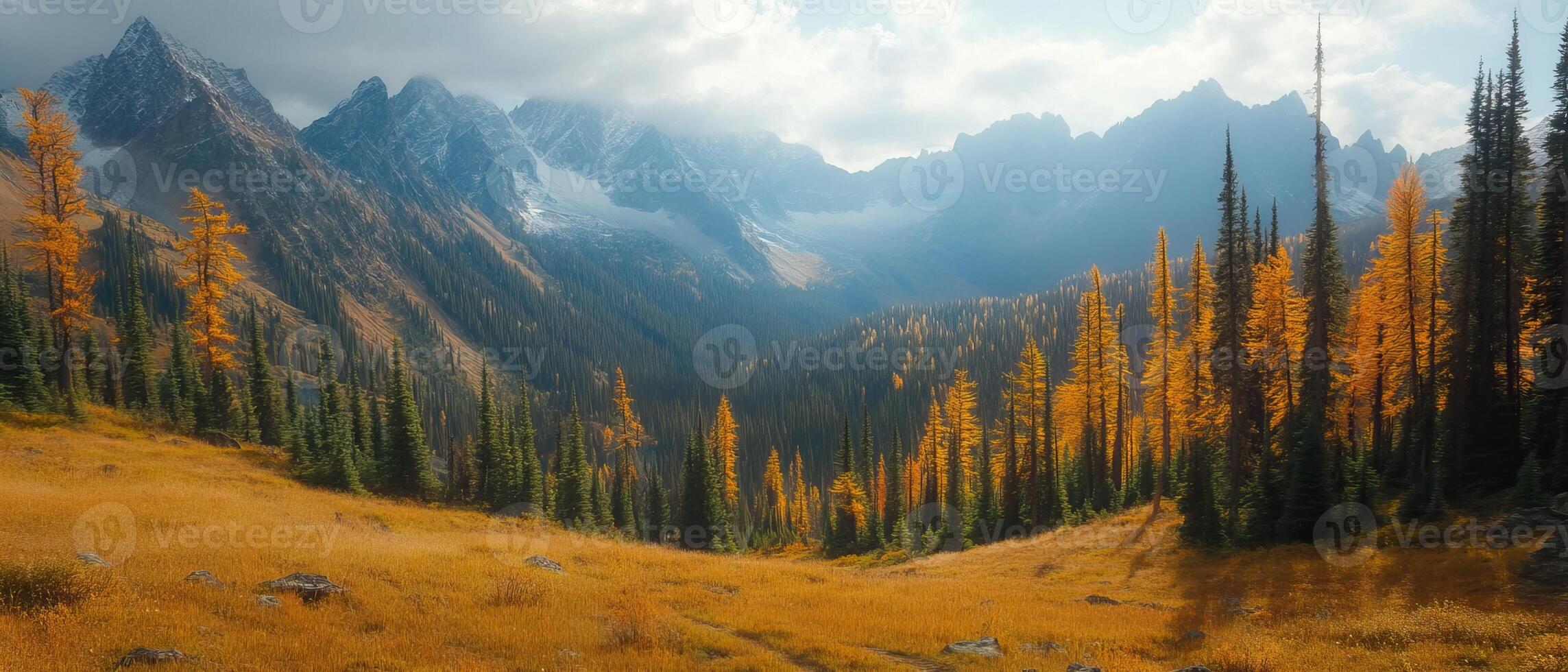 Autumnal mountain meadow, golden larches, scenic valley, cloudy peaks, travel poster photo