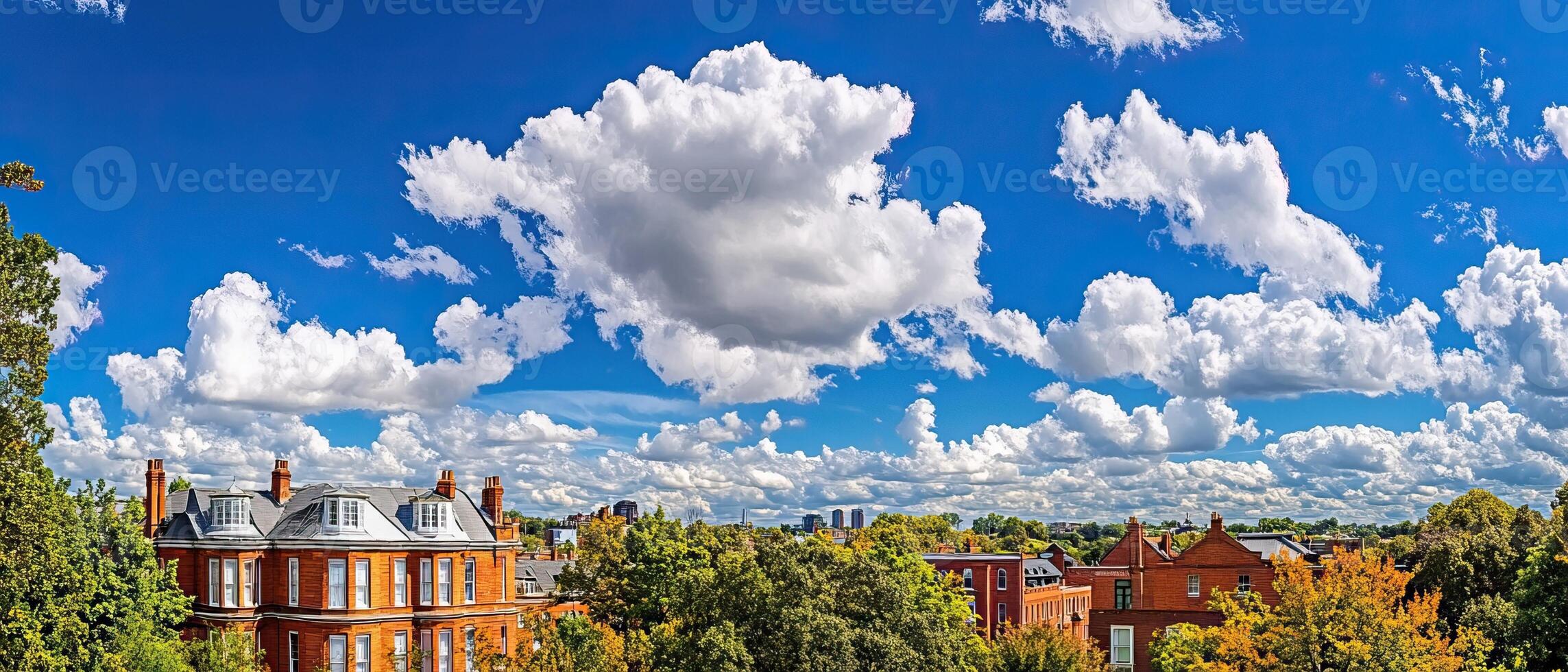 Sunny Suburban Skyline Houses, Trees, Clouds photo