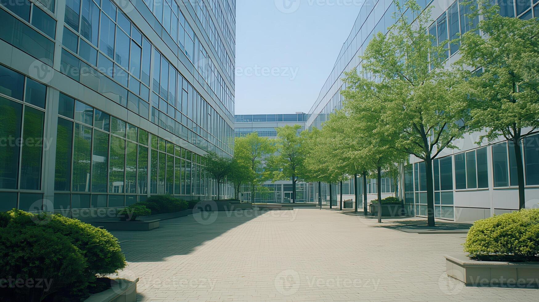 Modern city courtyard, trees, buildings, sunlight, calm photo