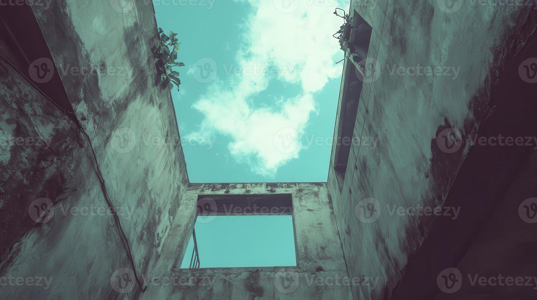 Ruined building, sky view, plants growing, urban decay photo
