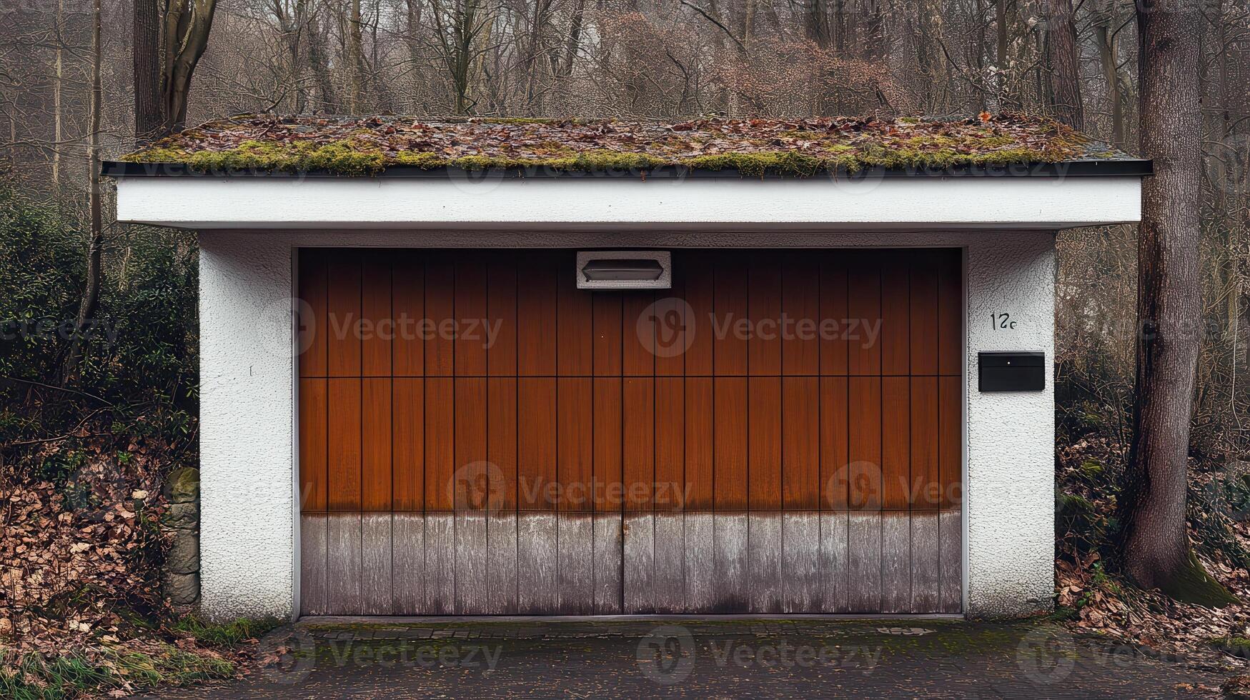 Rustic garage, woodland backdrop, closed door, autumn leaves photo