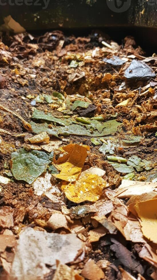 Close-up of a vibrant compost pile, rich in organic matter photo