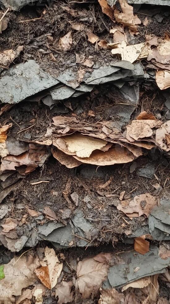 Nature's Layered Composition A Detailed Look at Fallen Leaves and Debris photo