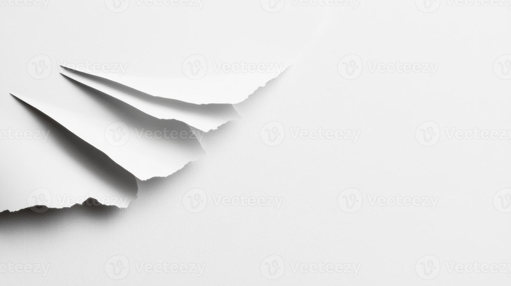 Textured White Paper Edge photo