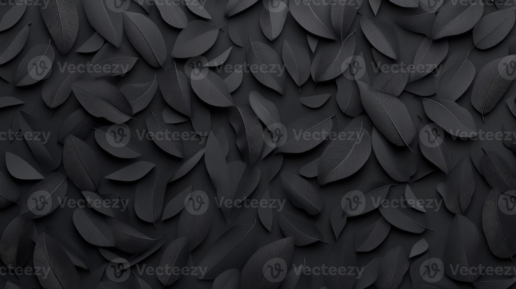 Abstract Black Plumage, Decorative Texture photo