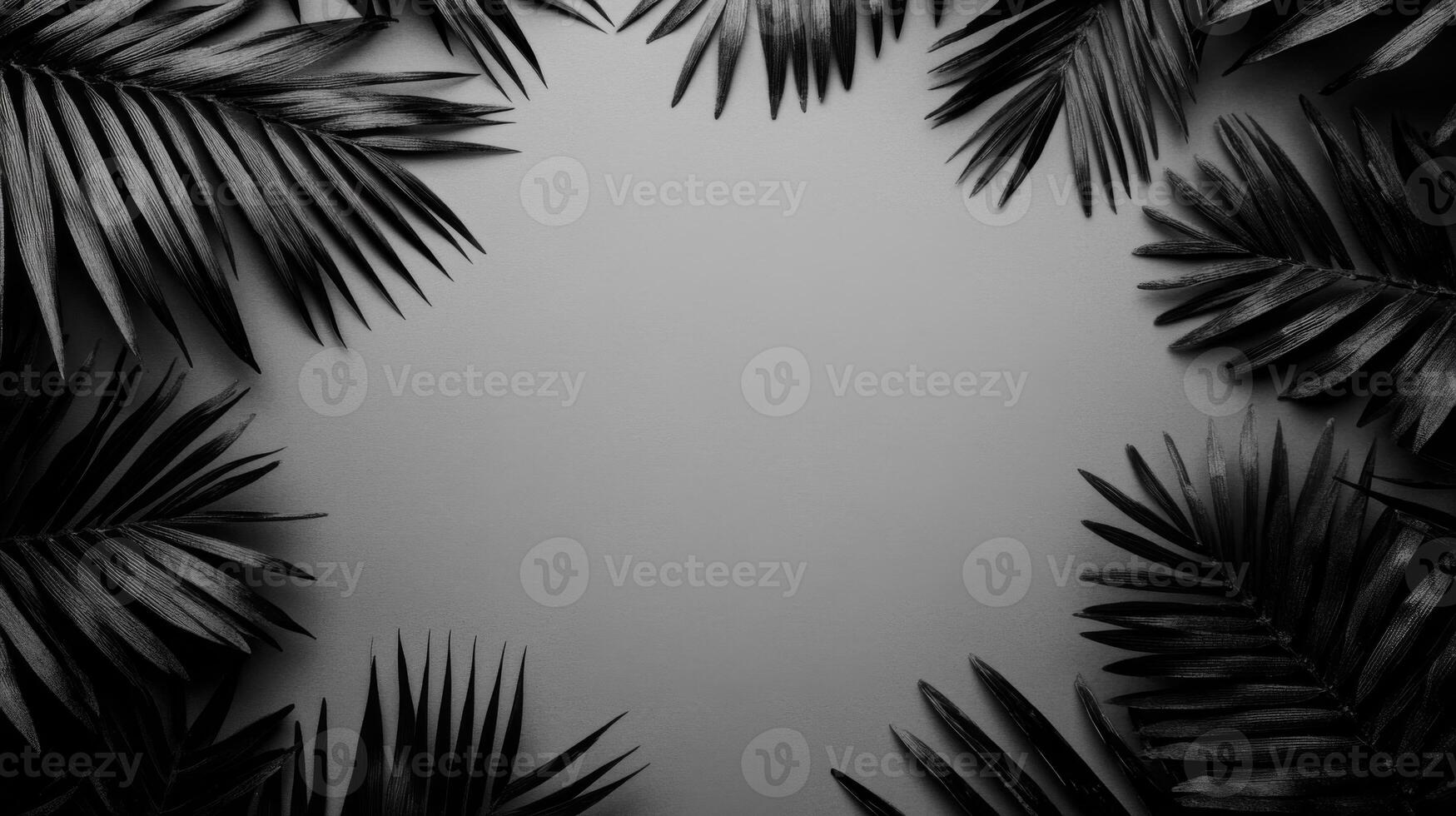 Black and White Palm Leaf Border Frame on Neutral Backdrop photo