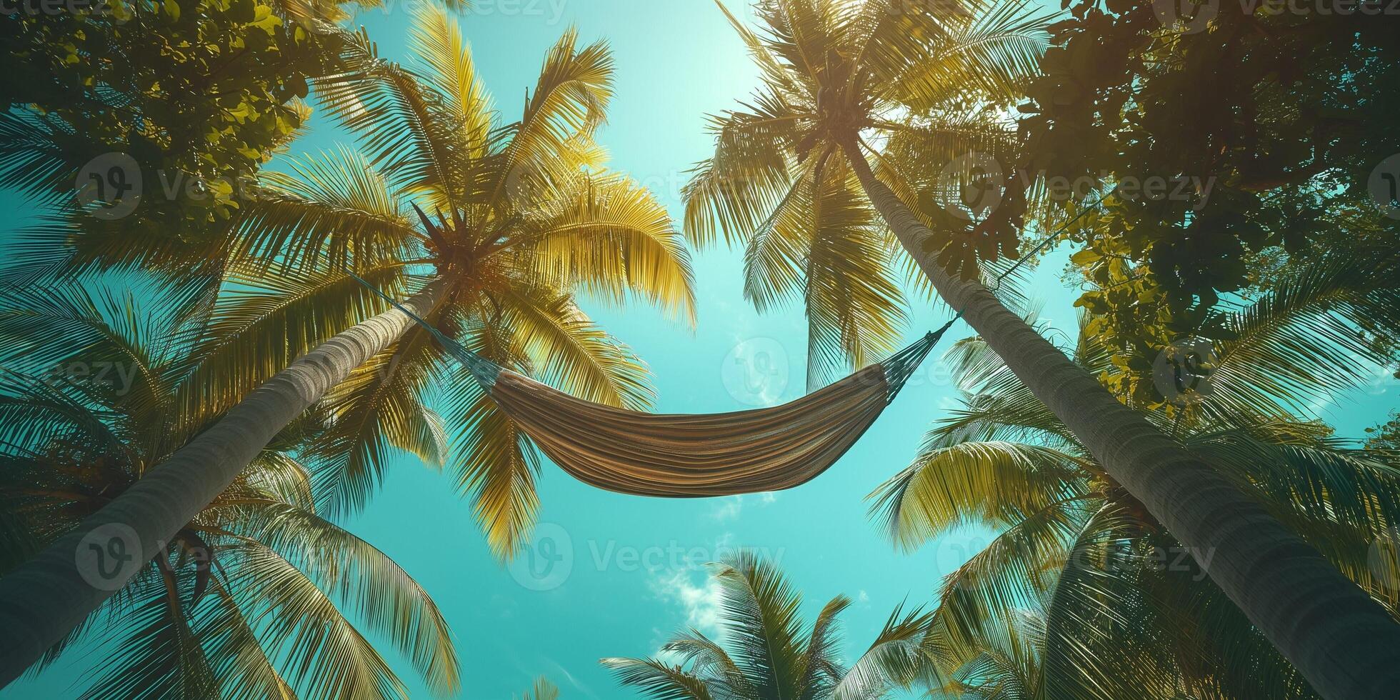 A serene view of a hammock swaying between tall palm trees under a vibrant blue sky. photo