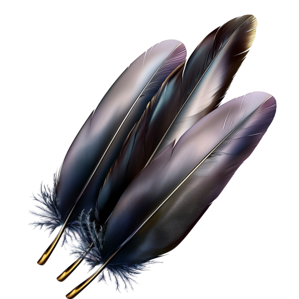 Collection of rk iridescent feathers a sleek elegant appearance png