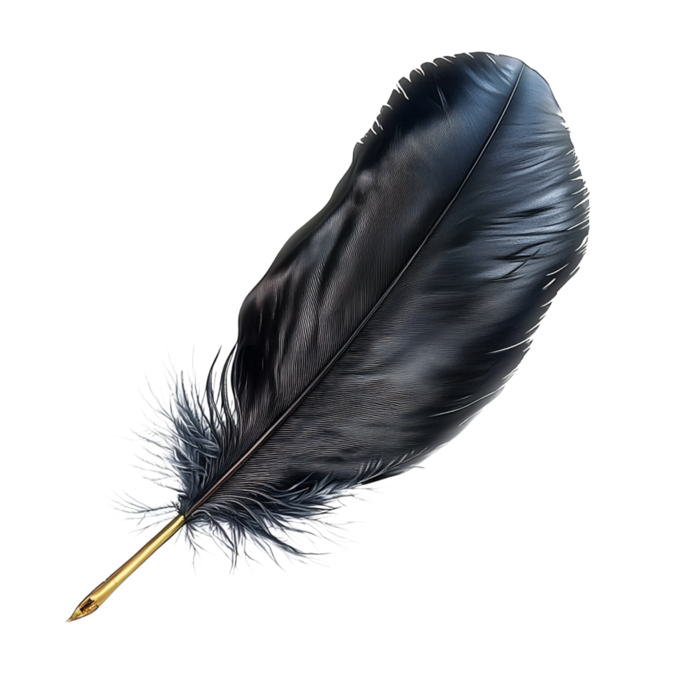 Sleek black feather delicate strs a golden tip glistening softly png