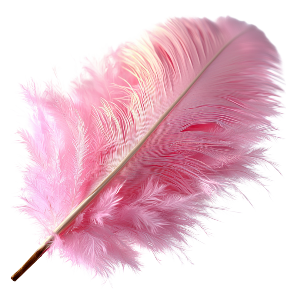 Soft Pink Feather Floating Gracefully Fine Details a Gentle Curve png