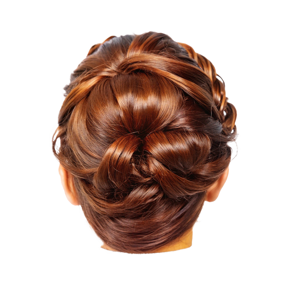 Elegant Brown Hair Updo Style for Women, Perfect for Special Occasions and Events png