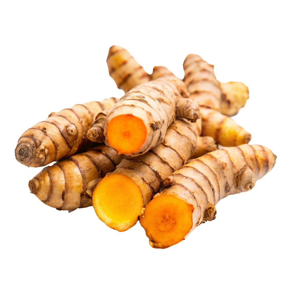 Fresh Turmeric Roots Ready for Cooking and Spices png