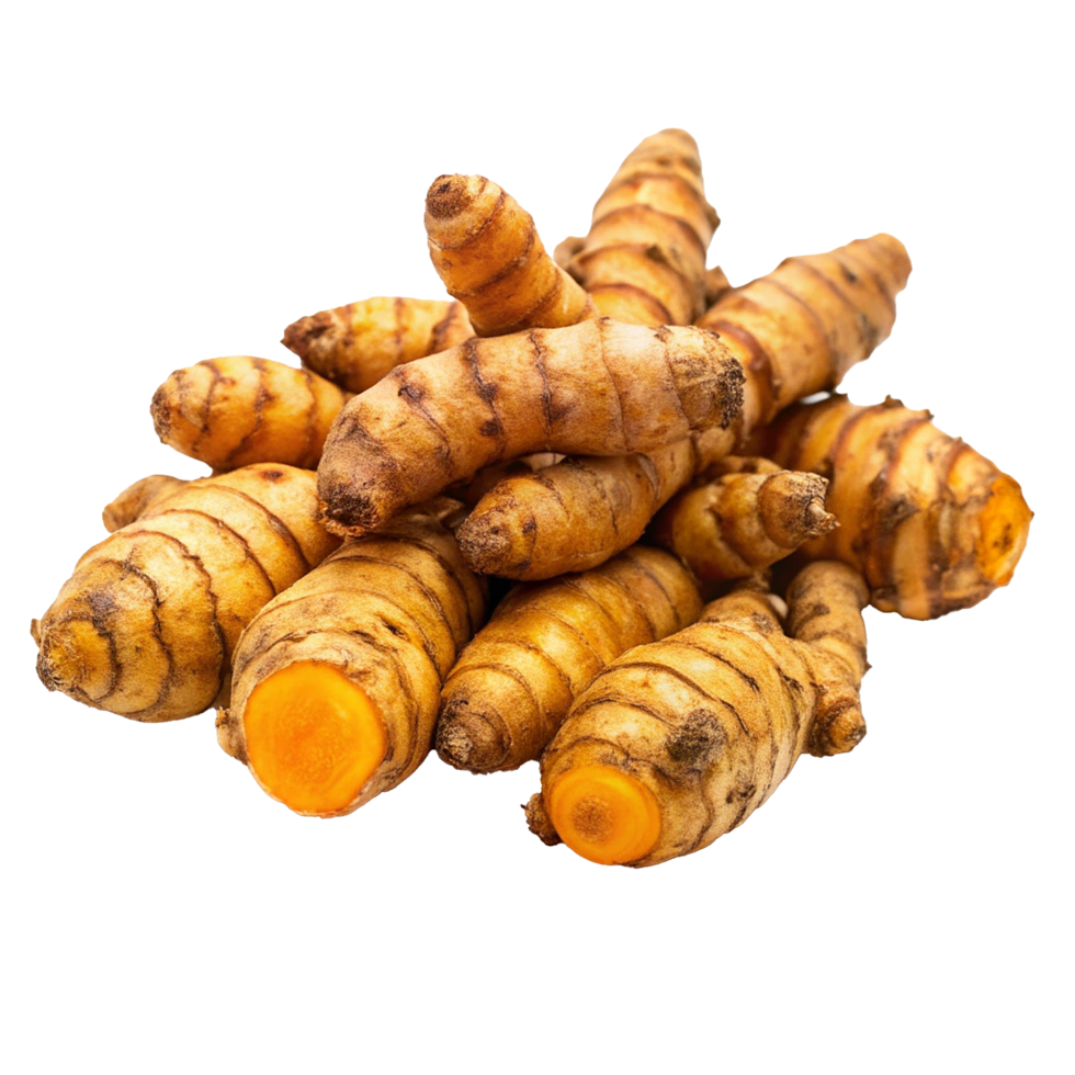 A Pile of Fresh Turmeric Roots Ready for Use in Cooking and Medicine png